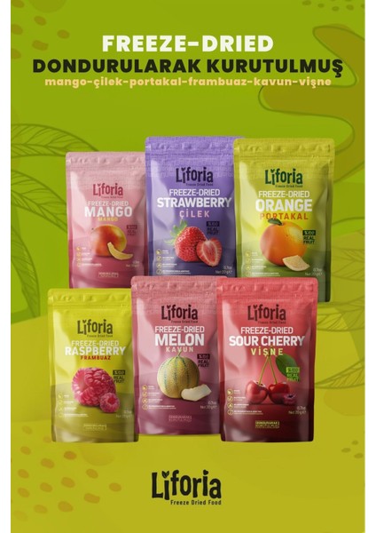 6’lı Dondurulmuş Meyve - Sağlıklı Atıştırmalık - Mango Çilek Portakal Frambuaz Kavun Vişne