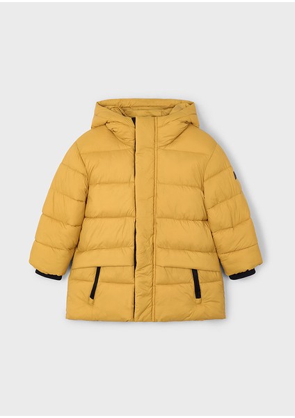 4422 Mayoral Mostaza Mont