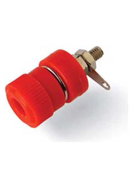 Born Klemens Büyük Boy