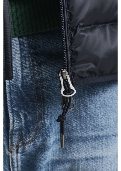 Erkek Regular Fit Dik Yaka Kapitoneli Şişme Mont - Lacivert