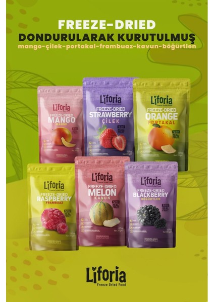 6’lı Dondurulmuş Meyve - Sağlıklı Atıştırmalık - Mango Çilek Portakal Frambuaz Kavun Böğürtlen