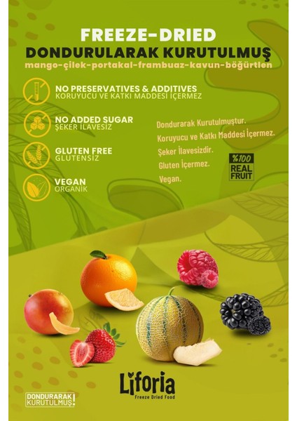 6’lı Dondurulmuş Meyve - Sağlıklı Atıştırmalık - Mango Çilek Portakal Frambuaz Kavun Böğürtlen fiyatları