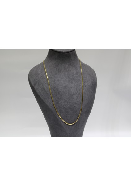 14 Ayar Altın Balık Sırtı Kolye fiyatları