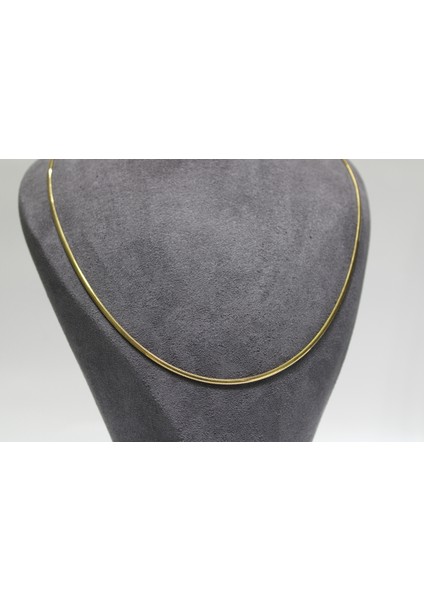 14 Ayar Altın Balık Sırtı Kolye modelleri