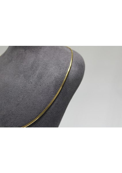 14 Ayar Altın Balık Sırtı Kolye indirimleri