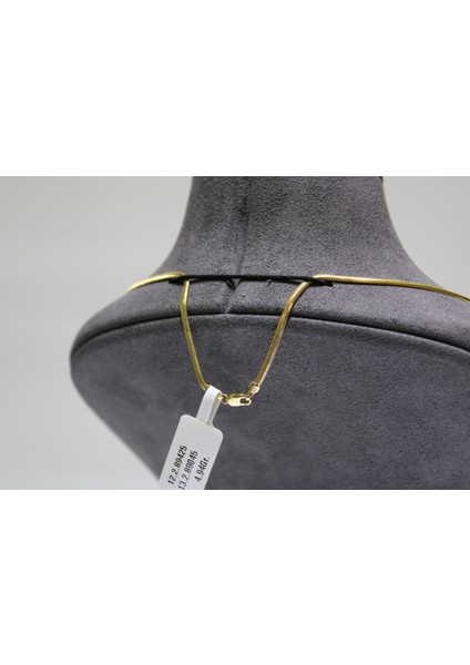 14 Ayar Altın Balık Sırtı Kolye