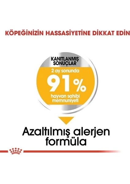 Royal Canin Mini Dermacomfort Yetişkin Köpek Maması 3 kg fırsatları
