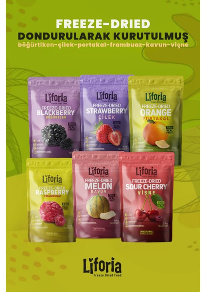 6’lı Dondurulmuş Meyve - Sağlıklı Atıştırmalık - Çilek Kavun Vişne Frambuaz Portakal Böğürtlen