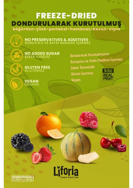 6’lı Dondurulmuş Meyve - Sağlıklı Atıştırmalık - Çilek Kavun Vişne Frambuaz Portakal Böğürtlen fiyatları