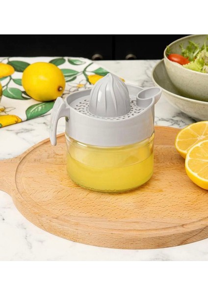 Holly Limon Sıkacağı modelleri