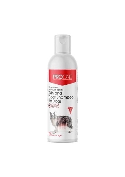 Pro One Tüy ve Deri Bakımı Için Köpek Şampuanı 250 ml