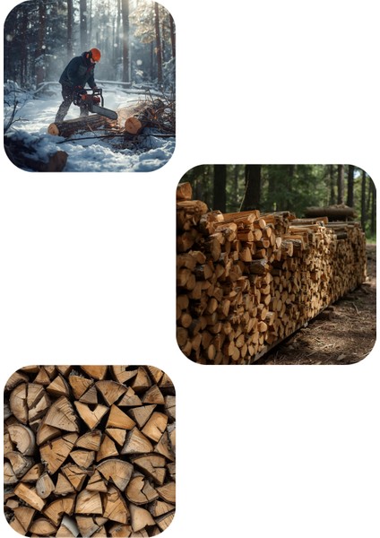 Profesyonel Alman Tasarımı Full Donanımlı Set Son Teknoloji Benzinli Motorlu Testere Bıçkı Motoru 52 cc fırsatları