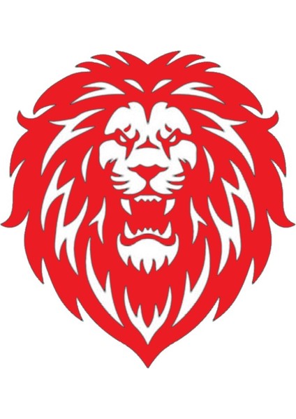 Aslan Tasarımlı Sticker 20 x 20 cm fiyatları