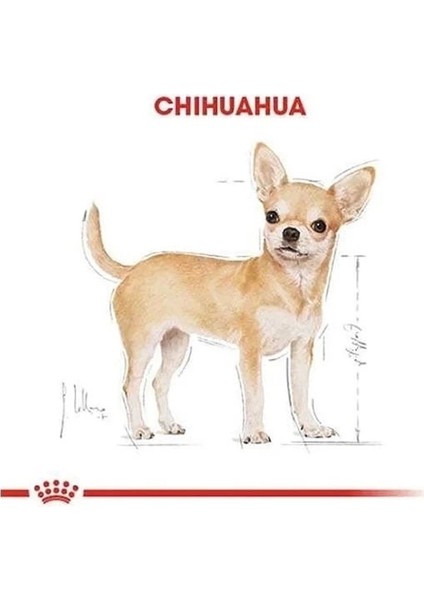 Royal Canin Chihuahua Adult Yetişkin Köpek Maması 1.5 kg indirimleri