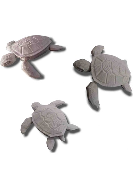 Kaplumbağa 3 Adet 6 cm Caretta Caretta Dekor Süs ( Akrilik Boyamaya Uygundur )
