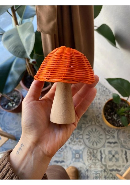 Ahşap Uyumu Ile Rattan Bambu Mantar