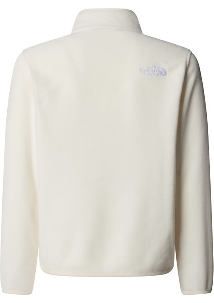 Teen Glacıer 1/4 Fermuarlı Genç Çocuk Glacier Polar NF0A8CVGQLI1 fiyatları