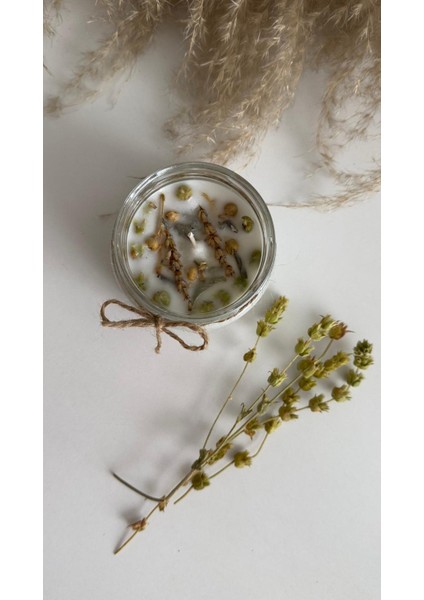 Likya Mum Lavanta Kokulu Zenginlik, Bolluk Bereket Mumu %100 Soya Wax El Yapımı 330 gr fırsatları