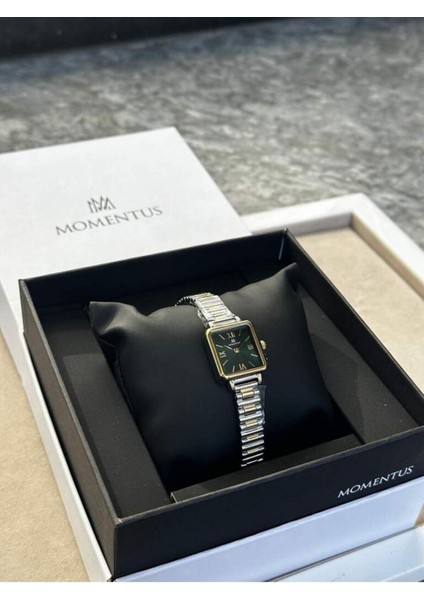 CW312T-15SG Kadın Kol Saati fiyatları