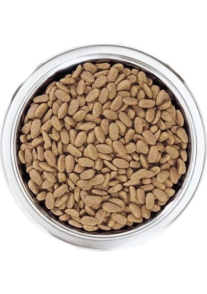 Pro Plan Adult Small Somonlu Yetişkin Köpek Maması 7 kg fırsatları