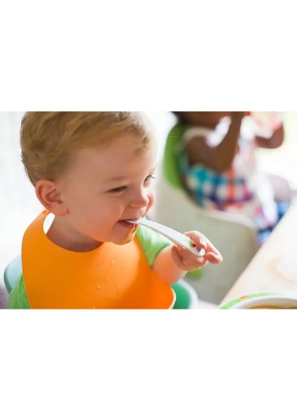 Avent SCF870/22 2'si 1 Arada Wasabi Blender ve Buharlı Pişirici