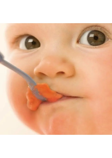 Avent SCF870/22 2'si 1 Arada Wasabi Blender ve Buharlı Pişirici