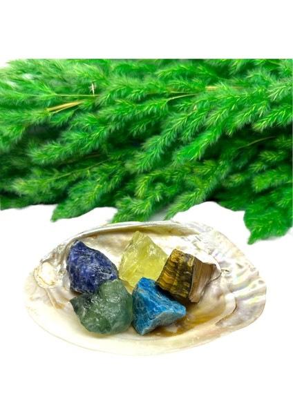 Doğal Taş Başarı Odaklanma Ham Set (Kaplagzü,florit,apatit,lapis)