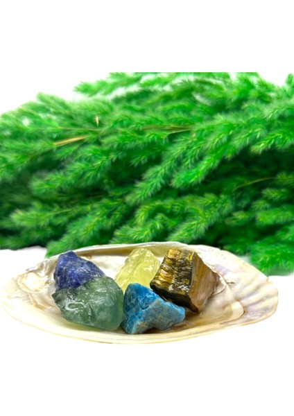 Doğal Taş Başarı Odaklanma Ham Set (Kaplagzü,florit,apatit,lapis) fiyatları