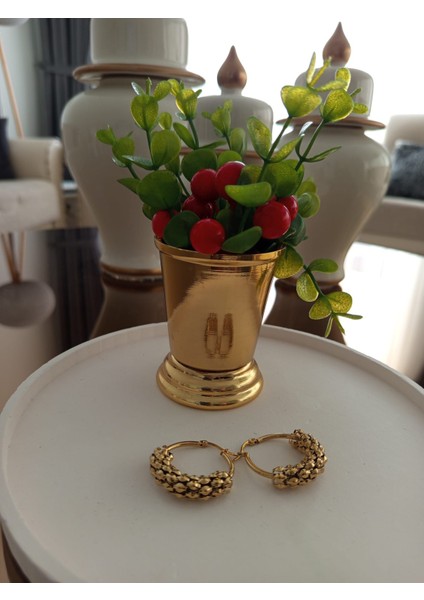 Çelik Halka Küpe fiyatları