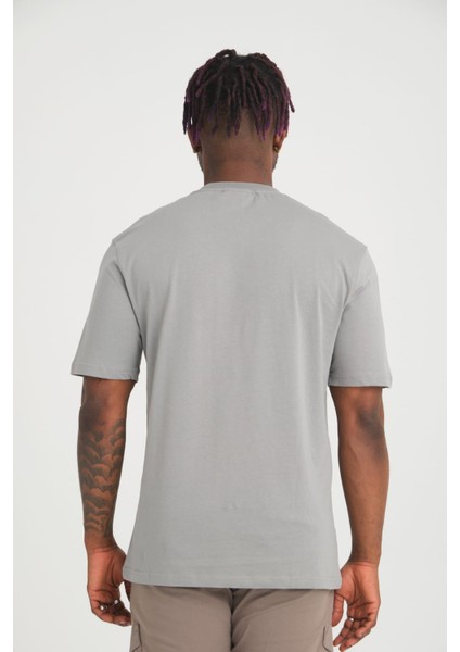 Basıc Gri Slim Fit Bisiklet Yaka fırsatları