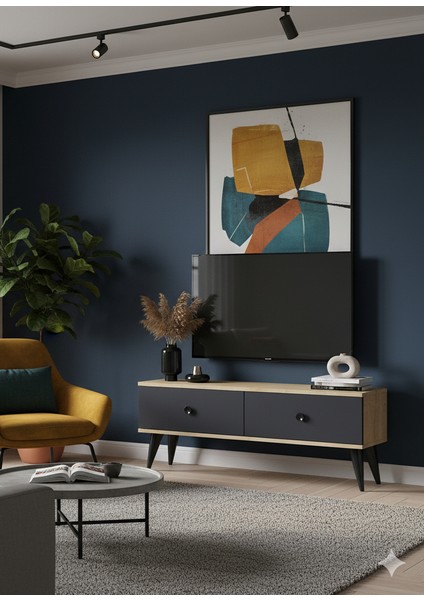 TSA1202DA - Mona Tv Stand 120CM Safirmeşe- Antrasit fiyatları