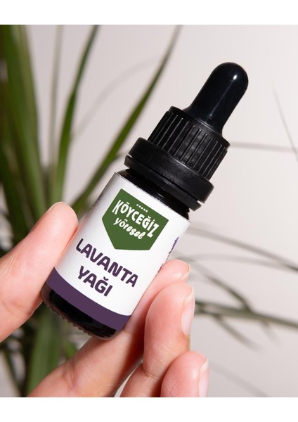 Lavanta Yağı 10 ml fırsatları