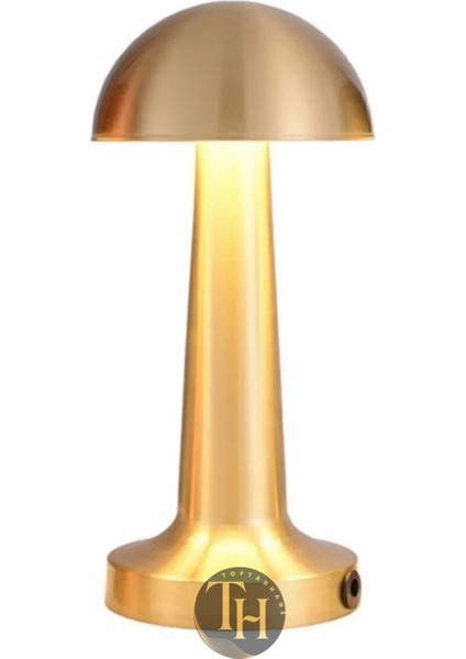 Dokunmatik Şarjlı Metal Masa Lambası 3 Işık Renkli Dekoratif LED Lamba Dimmerli Retro Aydınlatma