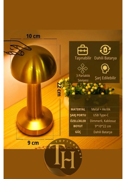 Dokunmatik Şarjlı Metal Masa Lambası 3 Işık Renkli Dekoratif LED Lamba Dimmerli Retro Aydınlatma modelleri