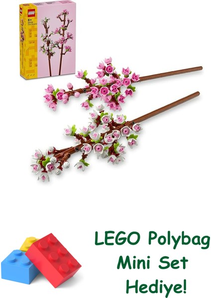 Botanicals 40725 Kiraz Çiçekleri + Polybag