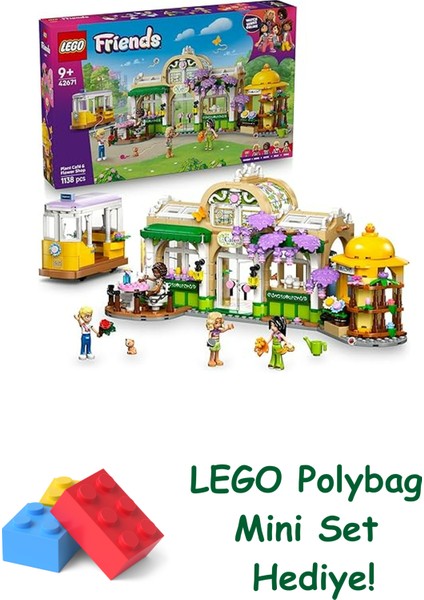 Friends Bitki Kafe ve Çiçekçi Dükkanı 42671 + Polybag