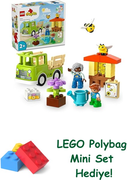 Duplo Kasabası Arıların ve Arı Kovanlarının Bakımı 10419 + Polybag