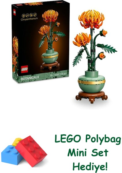 Icons Krizantem 10368 + Polybag