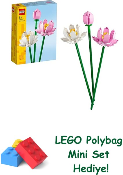Botanicals Lotus Çiçekleri 40647 + Polybag