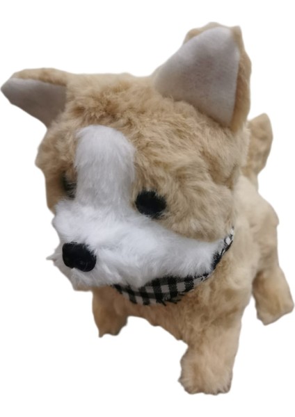 Pilli , Hareketli, Oyuncak Köpek