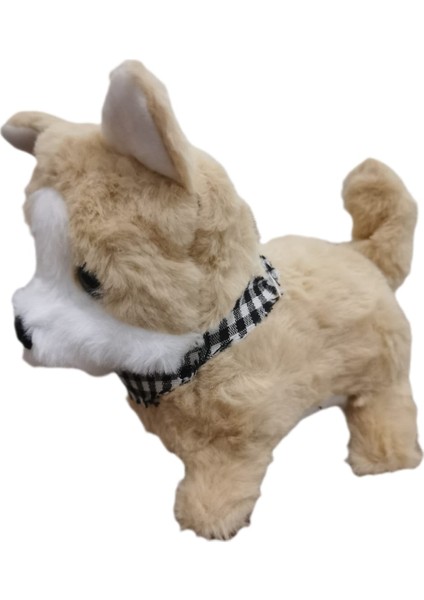 Pilli , Hareketli, Oyuncak Köpek modelleri