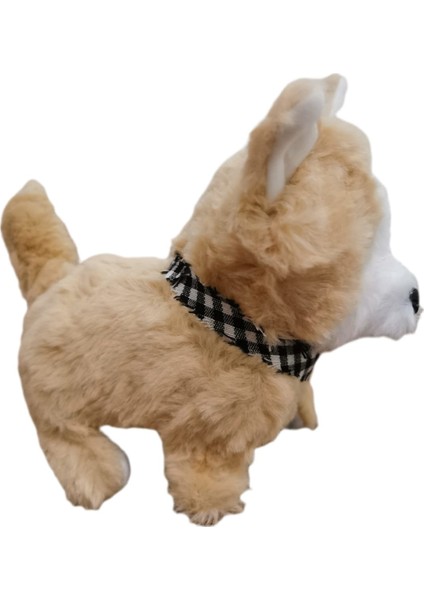 Pilli , Hareketli, Oyuncak Köpek fırsatları