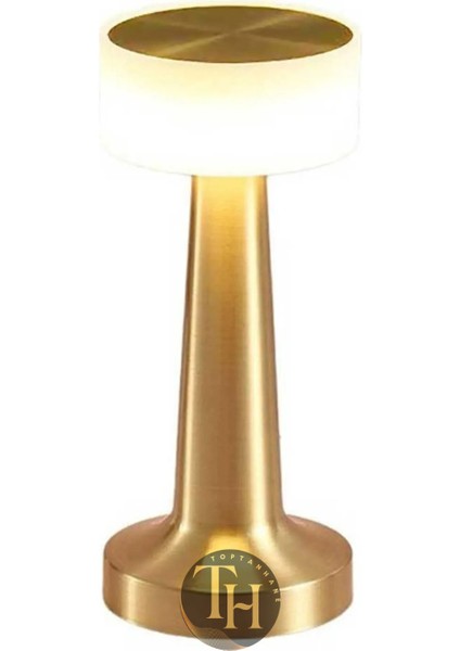 Dokunmatik Şarjlı Metal Masa Lambası 3 Işık Renkli Dekoratif LED Lamba Dimmerli Retro Aydınlatma Şık Tasarımlı Masa Lambası