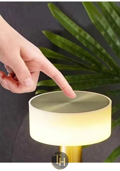 Dokunmatik Şarjlı Metal Masa Lambası 3 Işık Renkli Dekoratif LED Lamba Dimmerli Retro Aydınlatma Şık Tasarımlı Masa Lambası modelleri