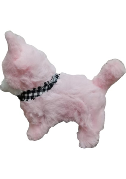 Pilli , Hareketli, Oyuncak Köpek modelleri