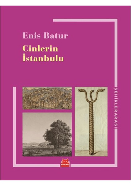 Cinlerin İstanbulu - Enis Batur