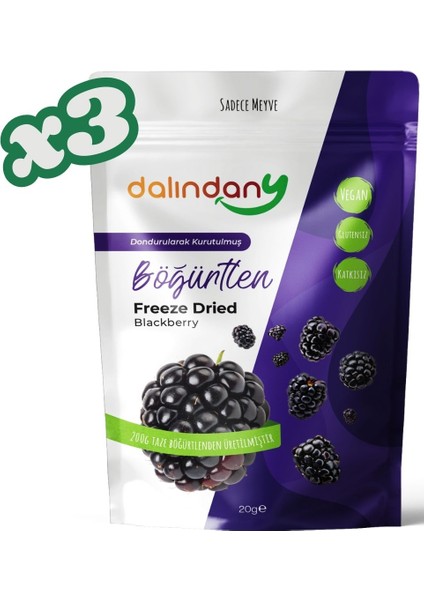Freeze Dried Dondurularak Kurutulmuş Böğürtlen Dilimleri 20 Gram X3