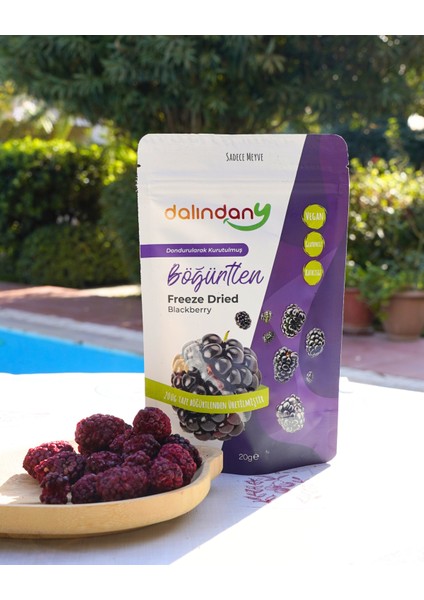 Freeze Dried Dondurularak Kurutulmuş Böğürtlen Dilimleri 20 Gram X3 fiyatları