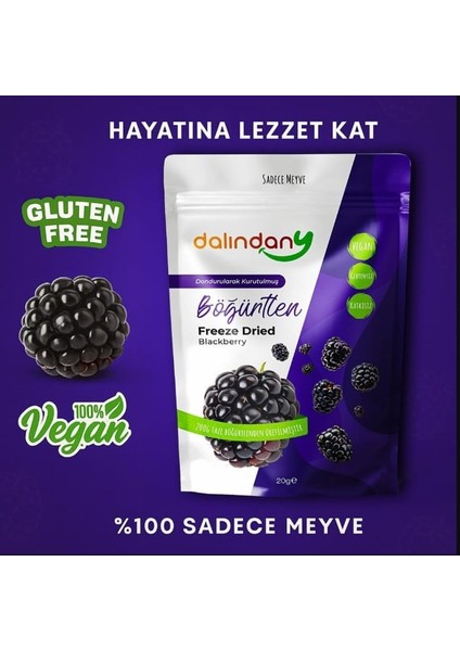 Freeze Dried Dondurularak Kurutulmuş Böğürtlen Dilimleri 20 Gram X3 indirimleri