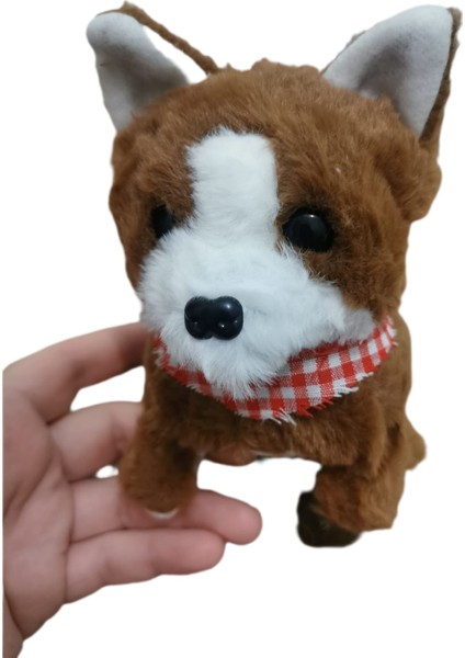 Pilli , Hareketli, Oyuncak Köpek